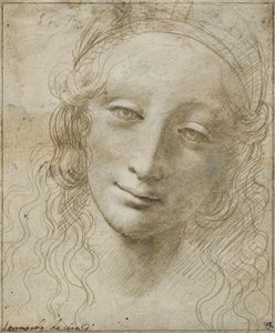 Testa di una donna da Giovanni Antonio Boltraffio