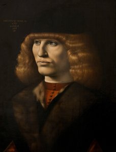 Ritratto di un giovane uomo, c.1500 da Giovanni Antonio Boltraffio