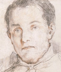 Ritratto di un giovane uomo da Giovanni Antonio Burrini or Burino