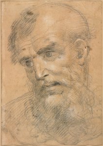 Testa di uomo barbuto (recto); Studio per una sacra conversazione (verso)