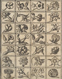 Essempio di recammi, pagina 10 verso da Giovanni Antonio Tagliente