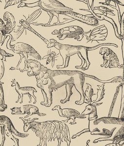 Essempio di ricami, pagina 13 recto, 1530