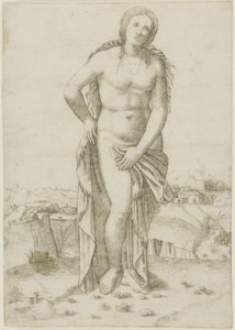 Venere da Giovanni Antonio da Brescia