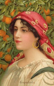 Ritratto di una donna spagnola con un albero di arancio da Giovanni Barbaro