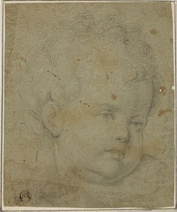 Testa di bambino da Giovanni Battista Caracciolo