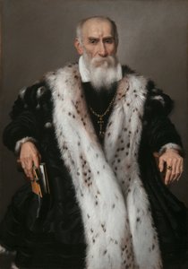 Ritratto di Gian Girolamo Albani 1504-1591, 1573