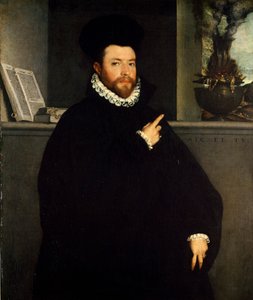Ritratto di uomo sano da Giovanni Battista Moroni