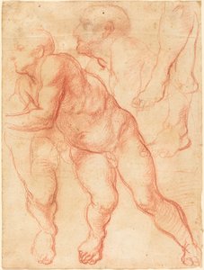 Studi di un nudo maschile