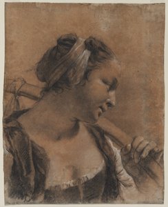 Ritratto di Rosa con un Bastone sulla Spalla da Giovanni Battista Piazzetta
