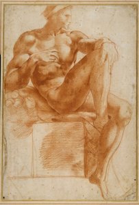 Ignudo sulla Volta Sistina da Giovanni Battista Rosso Fiorentino