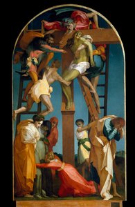 Immagine Sconosciuta da Giovanni Battista Rosso Fiorentino
