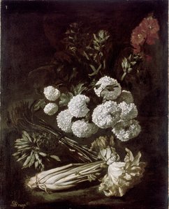 Natura Morta di Fiori e Verdure
