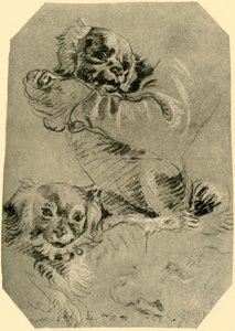 Cani di Bologna, 1751-1752 da Giovanni Battista Tiepolo