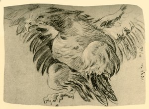 Aquila, 1751-1752, 1928 da Giovanni Battista Tiepolo