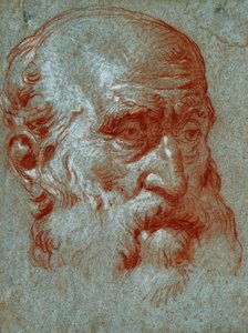 Testa di un patrizio veneziano, tre quarti di volto da Giovanni Battista Tiepolo