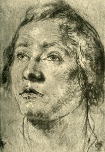 Testa di un giovane uomo da Giovanni Battista Tiepolo