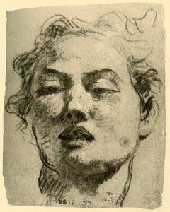 Testa di un giovane, metà XVIII secolo, 1928 da Giovanni Battista Tiepolo