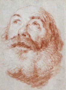Testa di un vecchio che guarda in alto da Giovanni Battista Tiepolo
