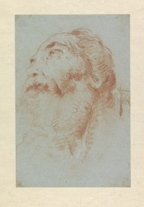 Testa di un vecchio