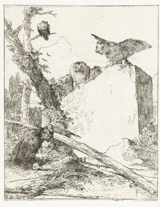 Frontespizio per Scherzi di fantasia con gufi su una pietra da Giovanni Battista Tiepolo