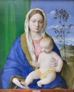 Madonna col Bambino, c.1500 da Giovanni Bellini