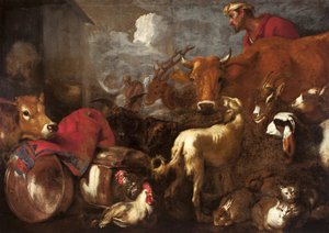 Gli animali salgono sull