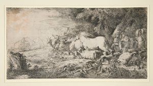Animali che entrano nell