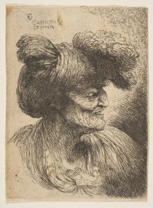Busto di vecchio senza barba di profilo rivolto a destra, dalla serie di Teste Piccole da Giovanni Benedetto Castiglione