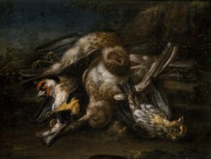 Uccelli morti