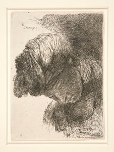 Figura con la Testa Abbassata, dalla serie Piccoli Studi di Teste da Giovanni Benedetto Castiglione