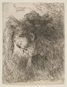Testa di un vecchio che guarda in basso, rivolto a sinistra, dalla serie di Piccole Teste da Giovanni Benedetto Castiglione