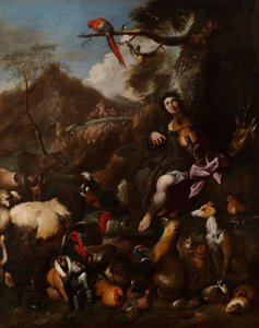 Orfeo canta agli animali da Giovanni Benedetto Castiglione