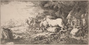 Gli animali verso l