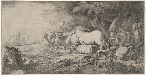 Gli Animali Verso l