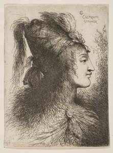 Giovane uomo con turbante piumato, rivolto a destra, dalla serie di Piccole Teste da Giovanni Benedetto Castiglione