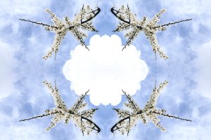 Innaturale 115 da Giovanni Cafagna
