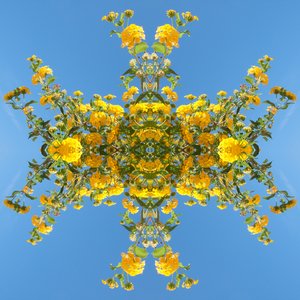Unnatural 193 da Giovanni Cafagna