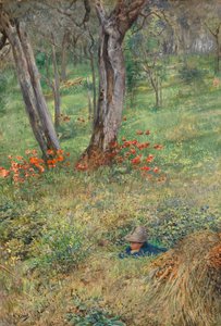 Un nascondiglio nel bosco