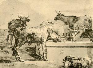 Mucche che si abbeverano, metà-fine XVIII secolo, 1928 da Giovanni Domenico Tiepolo