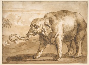 Elefante in un paesaggio da Giovanni Domenico Tiepolo