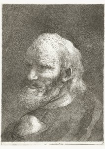 Uomo con spalla scoperta da Giovanni Domenico Tiepolo