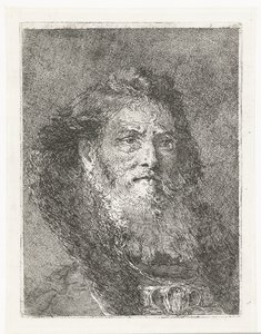 Uomo senza copricapo (Raccolta di Teste) da Giovanni Domenico Tiepolo