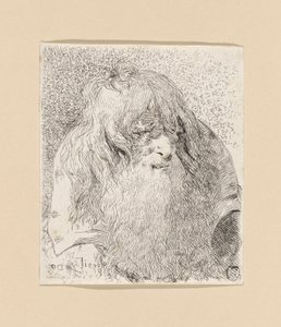 Vecchio con barba e capelli lunghi, dalla Raccolta di Teste da Giovanni Domenico Tiepolo