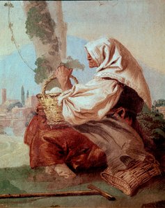 Vecchia contadina con un cesto di uova da Giovanni Domenico Tiepolo