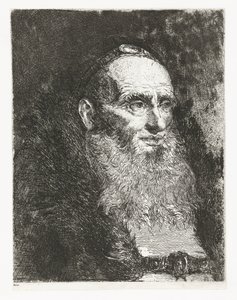Vecchio uomo da Giovanni Domenico Tiepolo