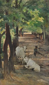 Viale con buoi e spaccapietre, c.1875 da Giovanni Fattori