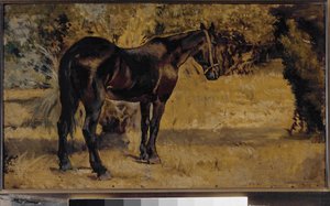 Cavallo scuro da Giovanni Fattori