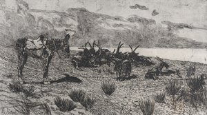 Asino e capre su una spiaggia in inverno da Giovanni Fattori