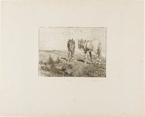 Riposo dei cavalli da Giovanni Fattori