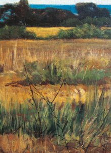 Maremma Toscana, circa 1894 (dettaglio) da Giovanni Fattori